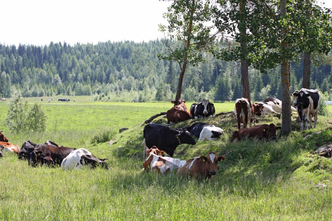 Mäkelän Lomatuvat Bed&Breakfast Korkeakoski  Exteriör bild